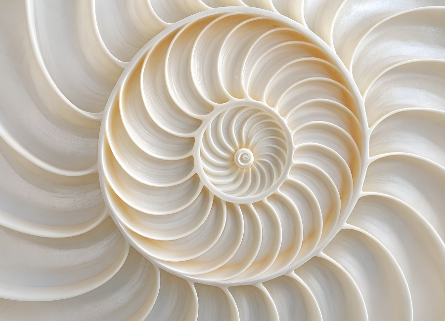 spirale-dynamique-v-theatre-forum